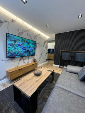 Town View Apartment